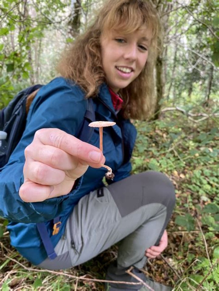 October 8 Zodiac Sign: Discover the Traits and Characteristics of Libra