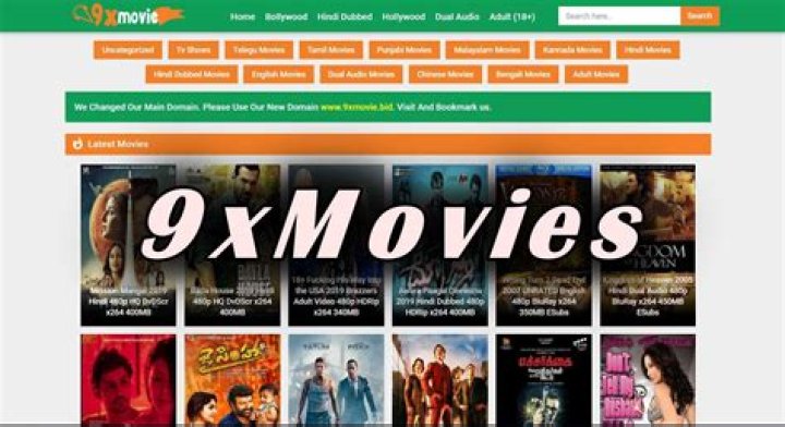 9X Movies Hub: Your Ultimate Destination for Latest Movie Downloads