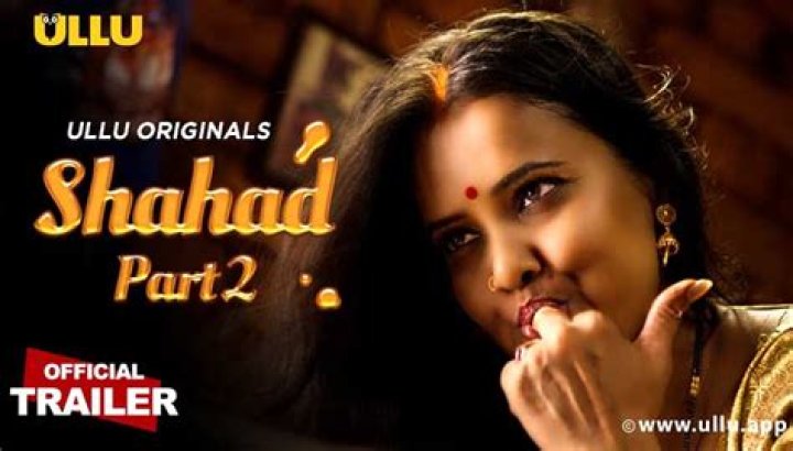 Exploring the World of Aagmaal.cat: A Comprehensive Guide