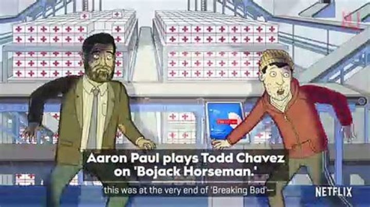 Aaron Paul on BoJack: A Deep Dive into the Actor's Perspective