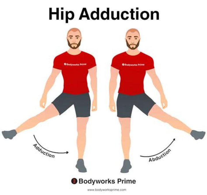 Abduction vs Adduction Hip: Understanding the Key Differences and Their Importance