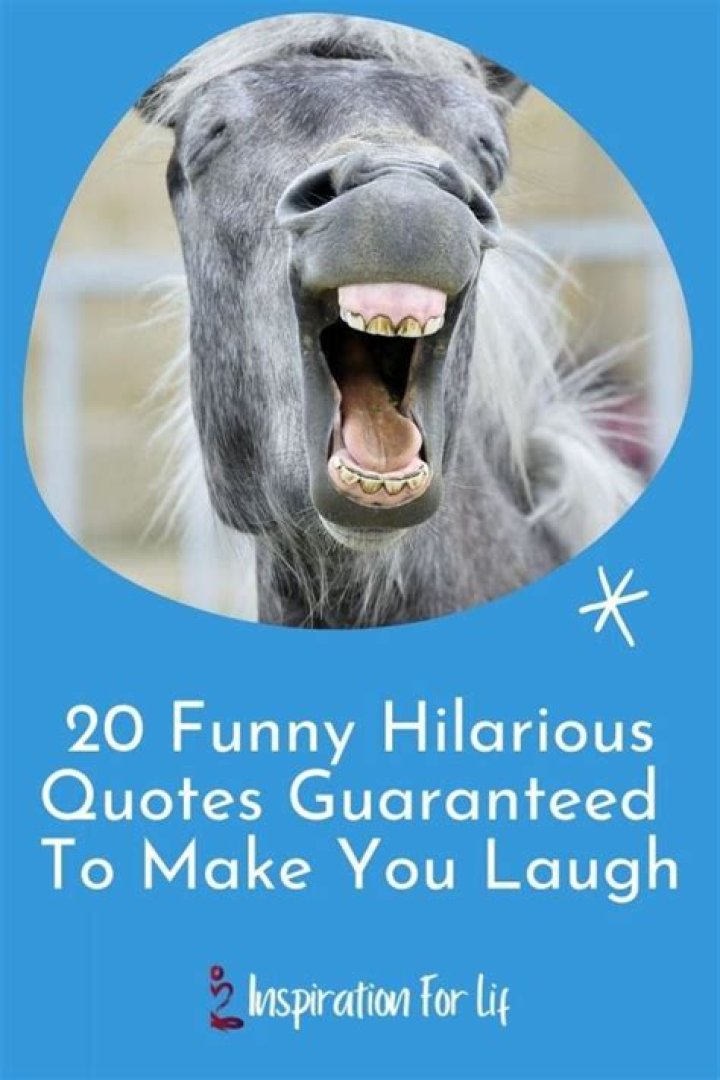 Absolutely Hilarious Laugh: Funny Quotes to Brighten Your Day