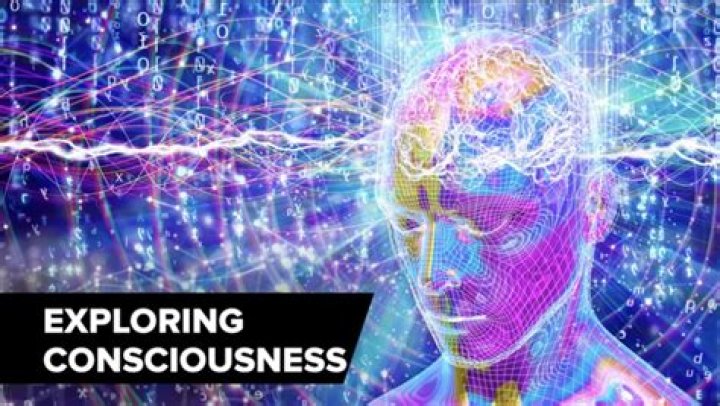 Adam Curr: The Visionary Entrepreneur Redefining the Business Landscape