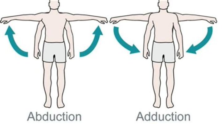 Adduct Abduct: Understanding the Fundamentals of Muscle Movements