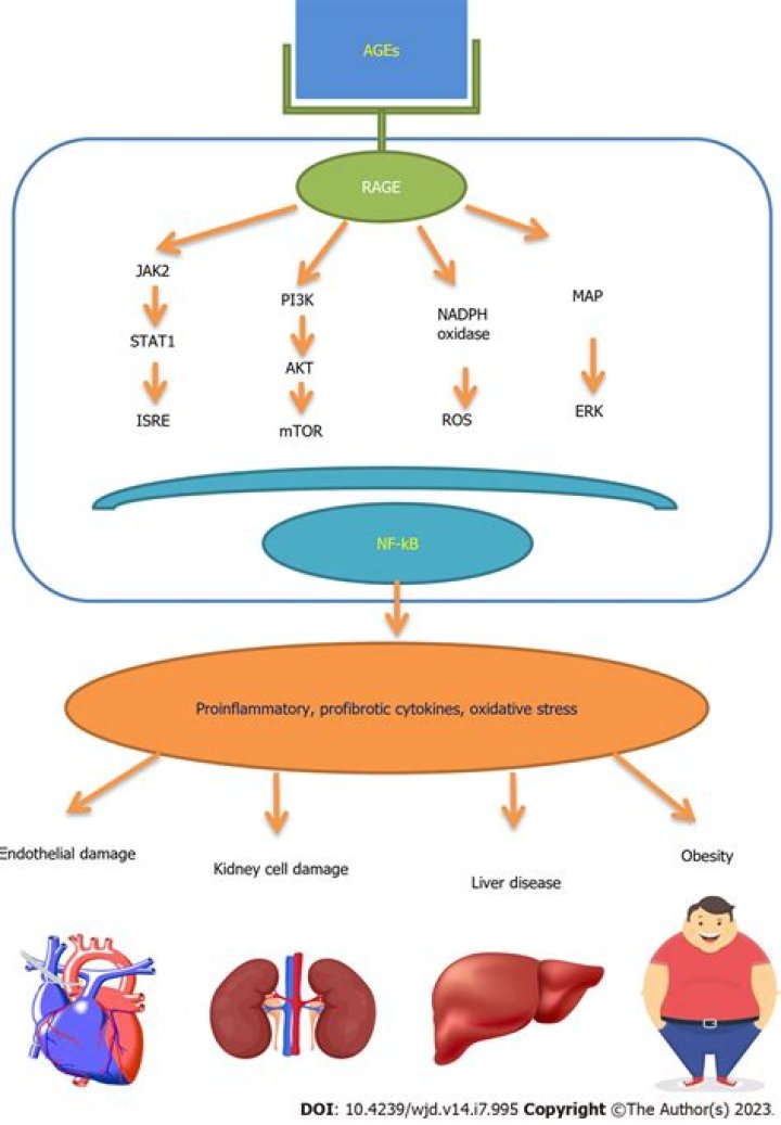 Advanced Diabetic Supplies: Your Ultimate Guide to Managing Diabetes