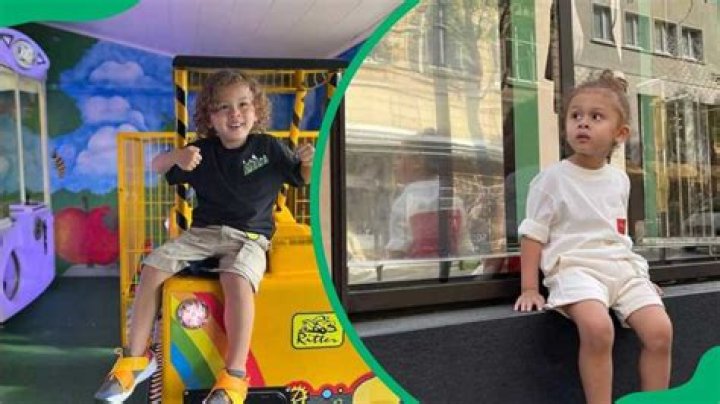 Aeko Catori Brown Now: Unveiling the Latest Trend in Pet Fashion and Care