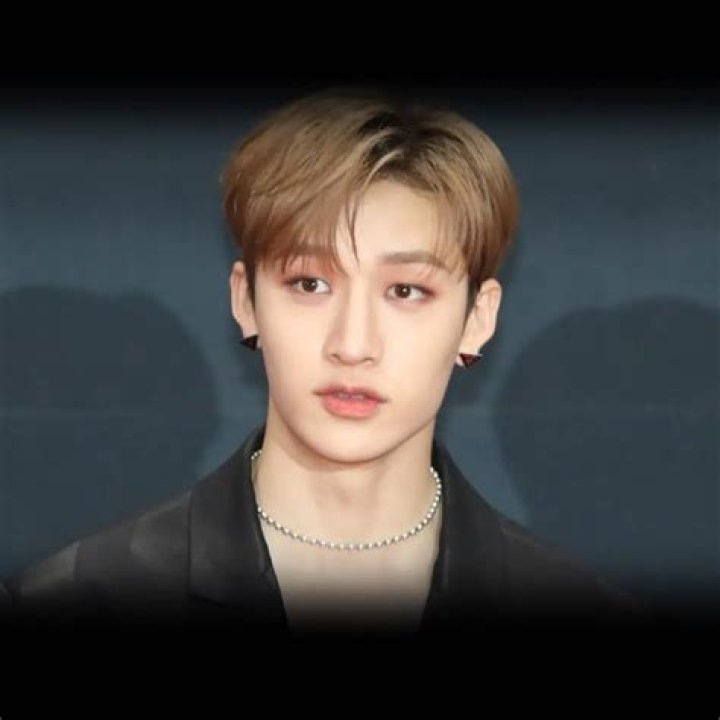 Unveiling the Age of Bang Chan: A Comprehensive Exploration