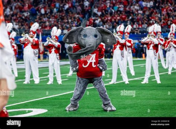 Unveiling the Fascinating Alabama Crimson Tide Mascot Origin
