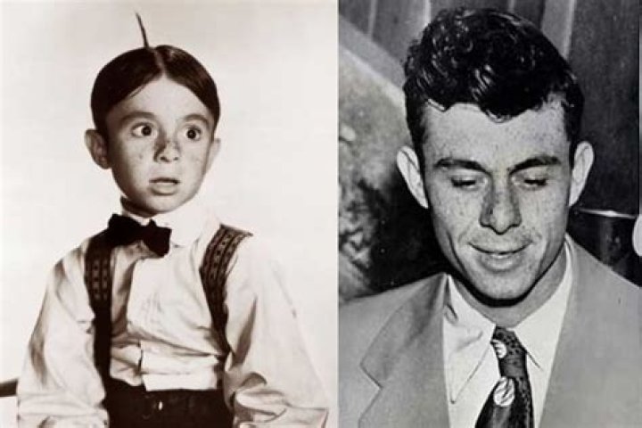Alfalfa from Our Gang: The Fascinating Journey of Carl Switzer