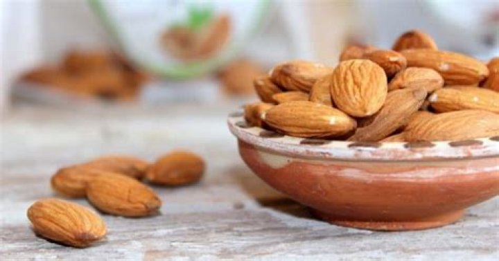 Are Almonds Toxic to Dogs? Everything You Need to Know