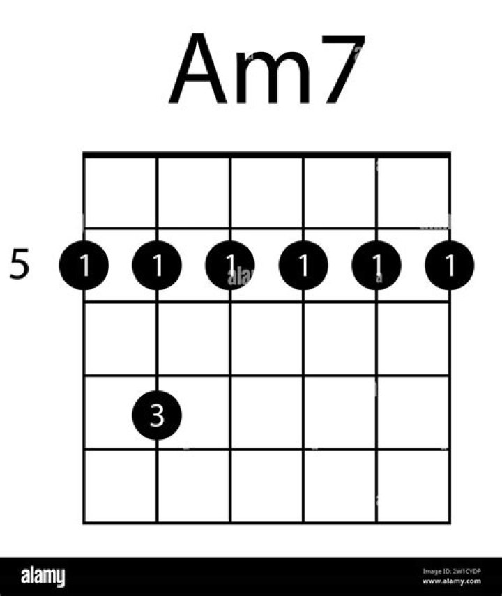 AM7: The Ultimate Guide to Understanding AM7 Frequencies and Their Applications