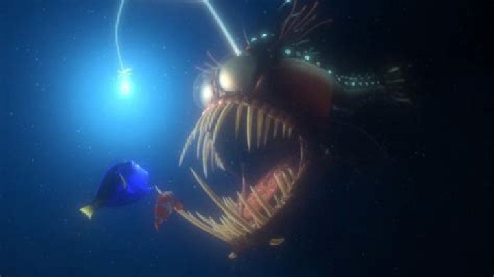 Discover the Enigmatic World of Anglerfish: A Deep Dive Into Nemo's Fascinating Cousin