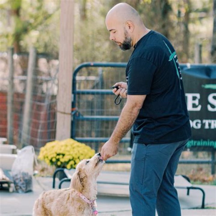 Comprehensive Guide to Animal Control in Dallas: Services, Tips, and Expert Insights