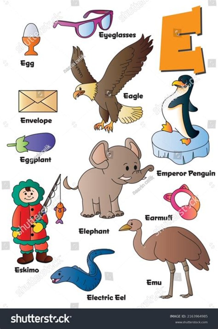 Exploring Animals Starting with the Letter E: A Comprehensive Guide