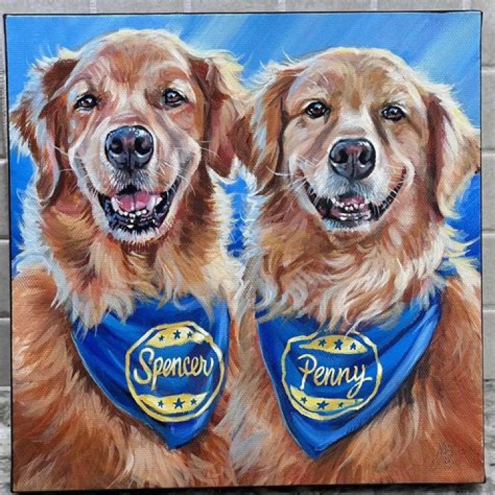 A Comprehensive Guide to AOCS Net Worth: Understanding Wealth, Success, and Influence