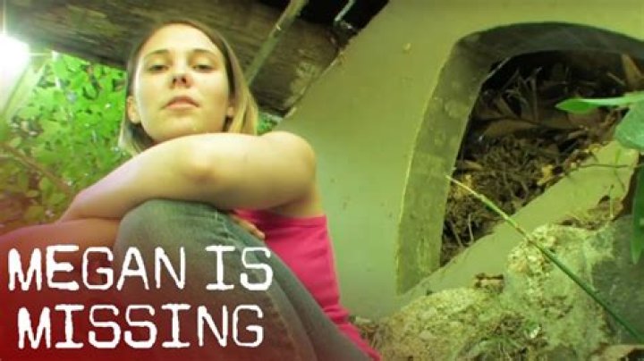 Are the Megan Is Missing Photos Real? Unveiling the Truth Behind the Viral Mystery