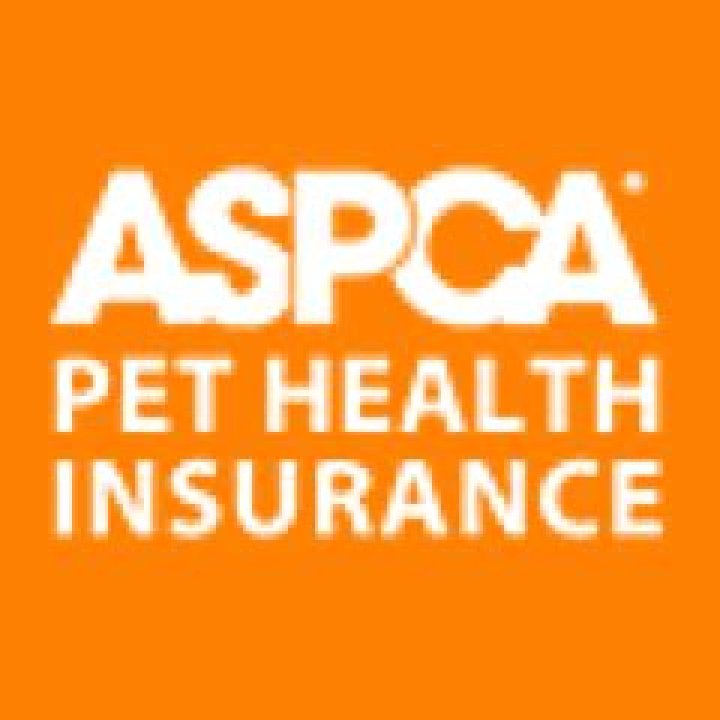 Comprehensive ASPCA Insurance Reviews: Everything You Need to Know