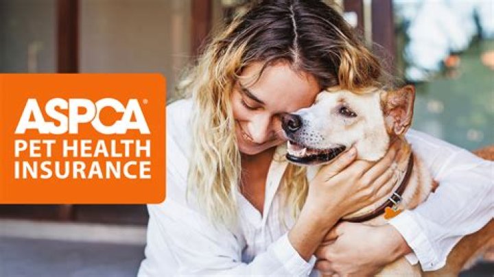 Understanding ASPCA Pet: Your Ultimate Guide to Supporting Animal Welfare