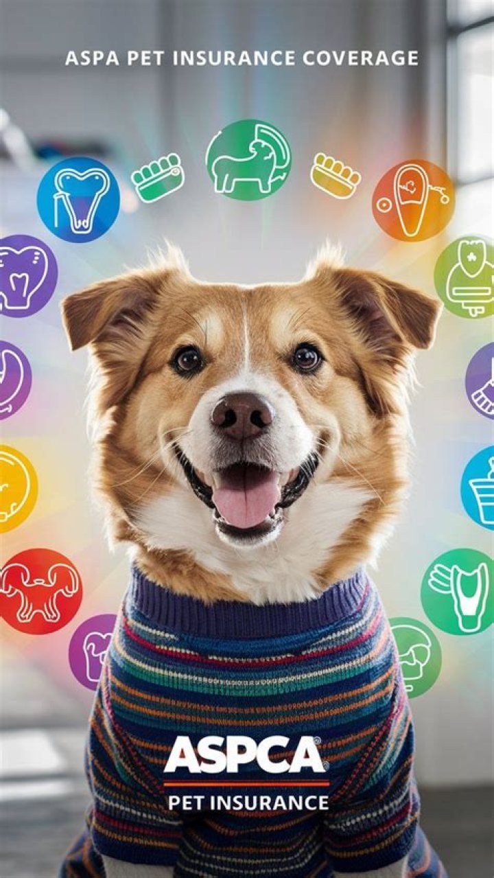 Comprehensive Guide to ASPCA Insurance: Everything You Need to Know