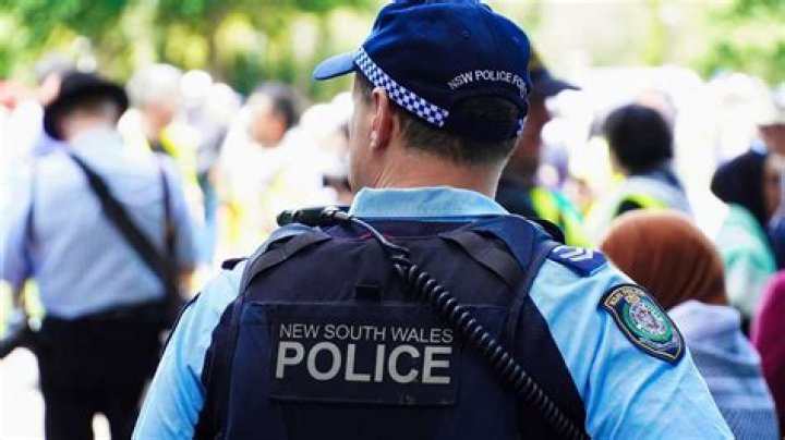 Understanding the Role of an Assistant Section Officer: A Comprehensive Guide