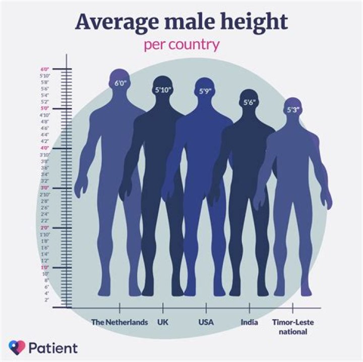 Average Height for a Woman in the United States: A Comprehensive Guide