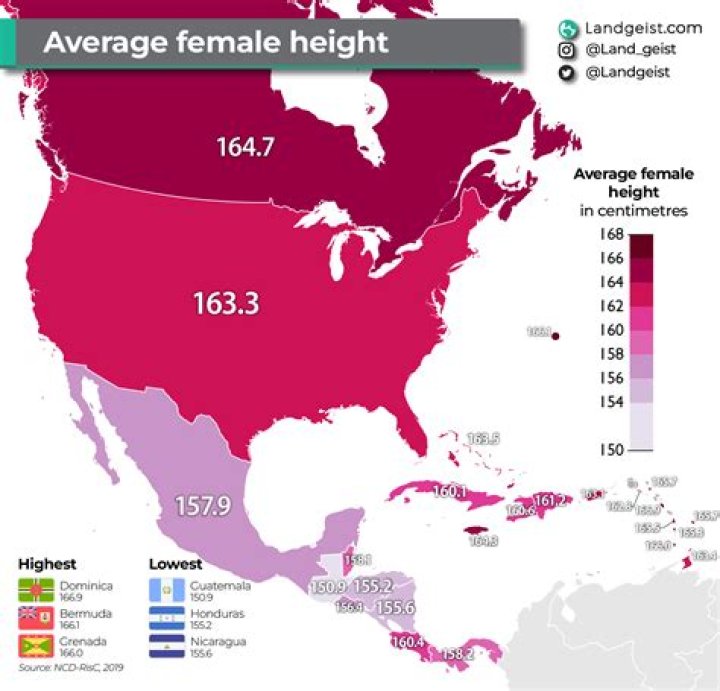Average Height of Women in USA: Comprehensive Insights and Analysis