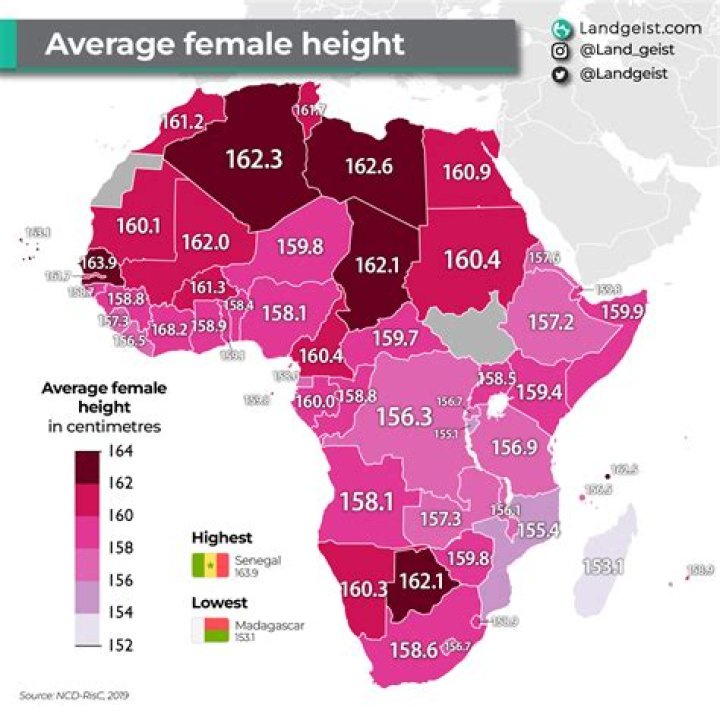 Average Height of a Woman: A Comprehensive Guide to Understanding Global Trends