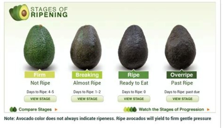 Mastering the Art of Avocados Ripening: A Comprehensive Guide