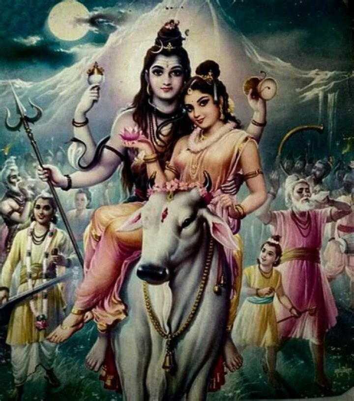 Paula Baniszewski: A Comprehensive Look at Her Life, Achievements, and Legacy