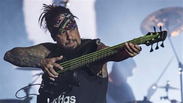 Bass Guitar in Korn: The Backbone of Nu Metal's Sound