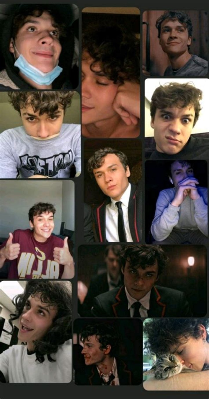 Benjamin Wadsworth Wallpaper: A Comprehensive Guide to Elevate Your Home Decor