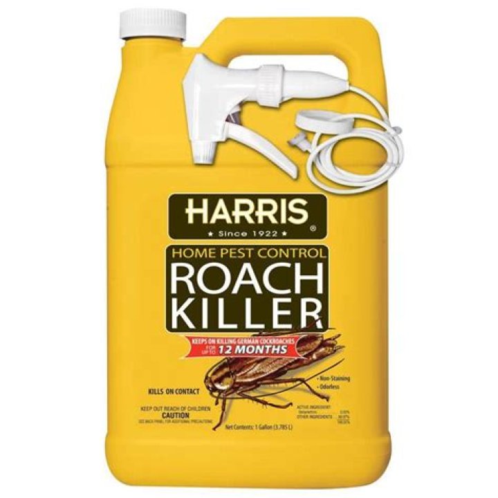 Best Roach Killer for Home: Ultimate Guide to Eliminate Roaches Permanently