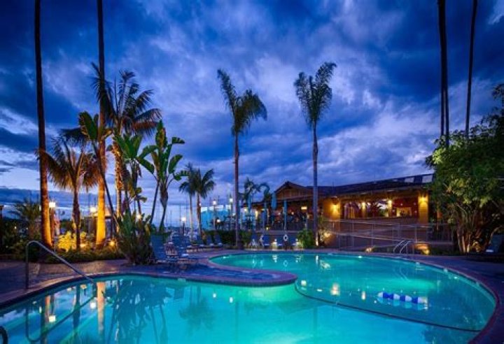 Best Western Plus Island Palms Hotel Marina: A Premier Destination for Your Dream Vacation