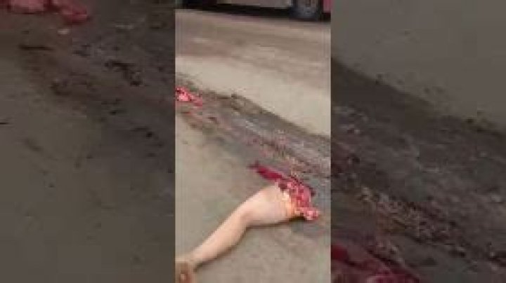 Bestgore Fun: Exploring the Dark Side of Entertainment