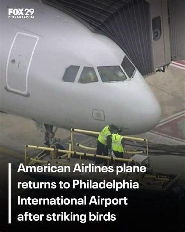 Birds Forale in Philadelphia: A Comprehensive Guide to Urban Avian Wonders