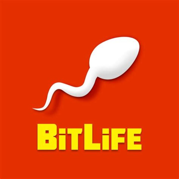 BitLife Guide: The Ultimate Walkthrough for a Thriving Virtual Life