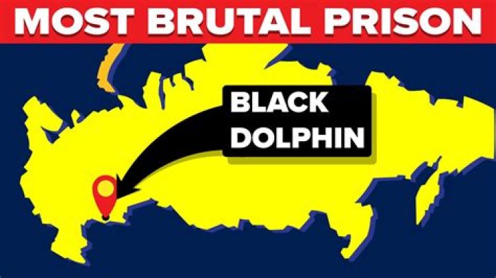 Black Dolphin Prison Escape: The Untold Story of the World's Toughest Jail