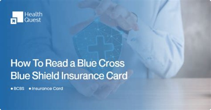 Comprehensive Guide to Blue CrossShield Insurance: Everything You Need to Know