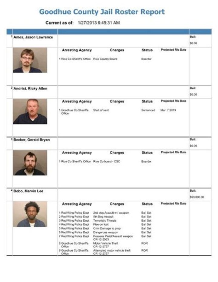 Comprehensive Guide to Blue Earth County Jail Roster PDF