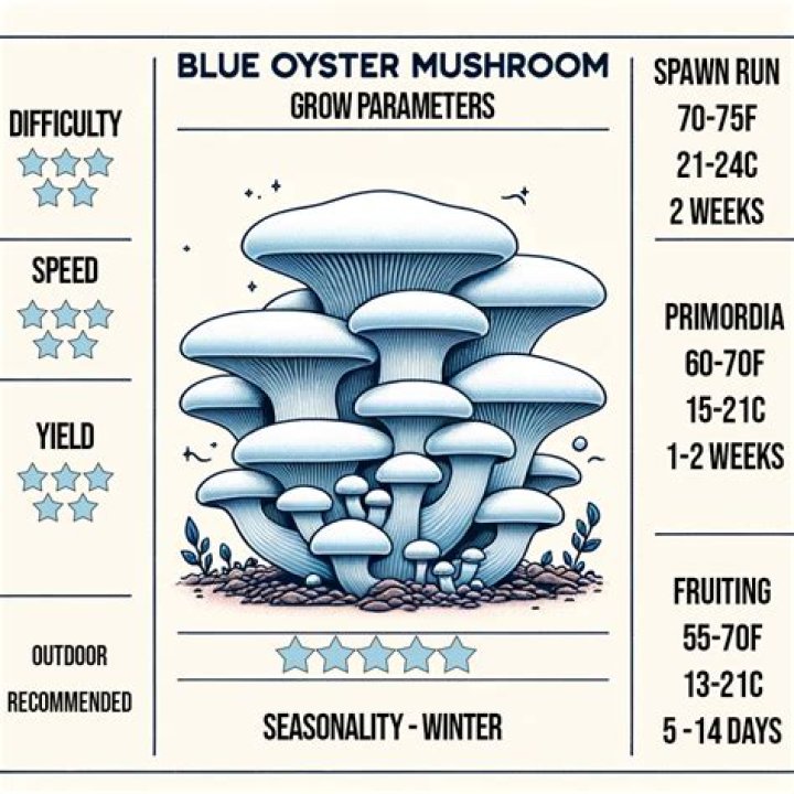 Unveiling the Timeless Legacy of Blue &Ouml;yster Cult: A Comprehensive Dive