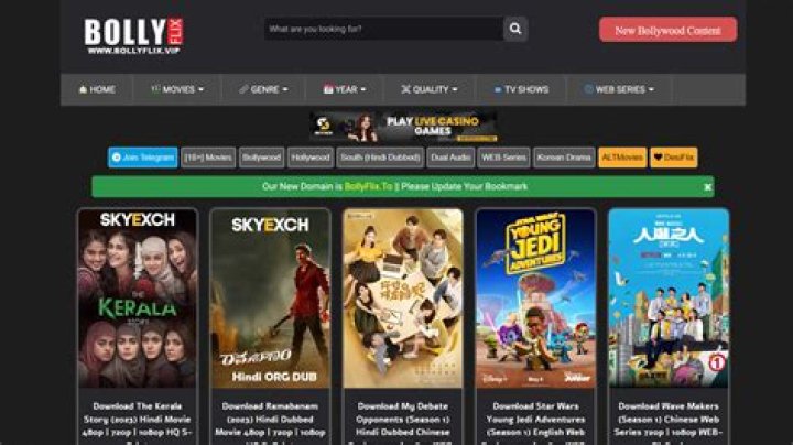 Bollyflix VIP: Your Ultimate Guide to Premium Bollywood Content