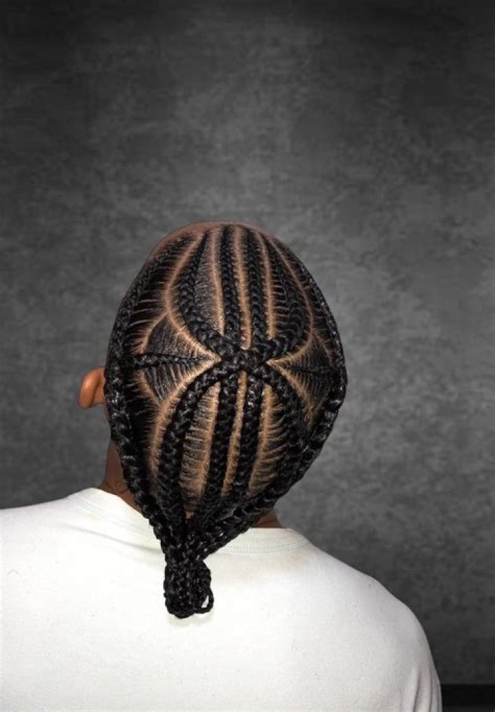 Braids Without Men: A Comprehensive Guide to Women's Braided Hairstyles