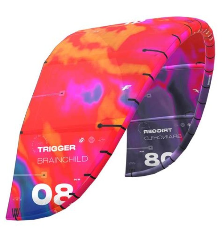 Unveiling the Genius: Brainchild RobTheCoins