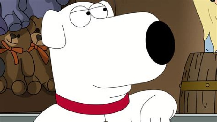 Brian's Replacement on Family Guy: A Comprehensive Look at the Iconic Character's Successor