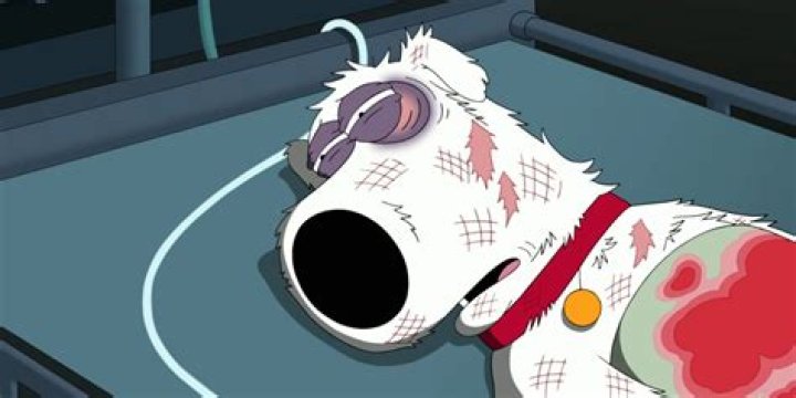 Brian's Demise in Family Guy: Exploring the Impactful Storyline