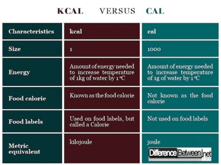 Cal vs Calories: Understanding the Difference and Its Impact on Your Health