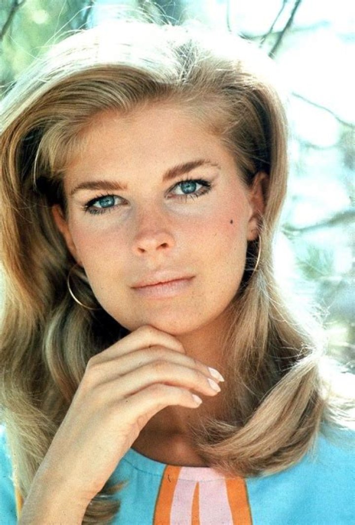 Candice Bergen: The Inspiring Journey of a Legendary Actress Born to Shine