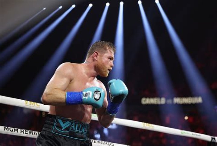 Canelo Alvarez Fun Facts: Unveiling theboxing Legend's Fascinating World