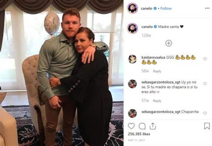 Canelo Family Tree: A Comprehensive Look into the Boxing Dynasty