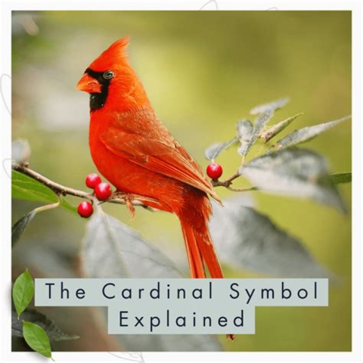 Unveiling the Meaning of Cardinal Zodiac Signs: Your Ultimate Guide